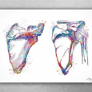 Scapula and Clavicle Shoulder Bones Watercolor Print Human Body Anatomy Medical Art Physiotherapists Chiropractic Skeletal Orthopedic-439
