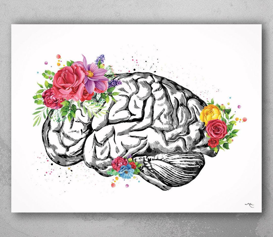 Floral Brain Anatomy Watercolor Print, Medical Neurology Art-1351 - Etsy