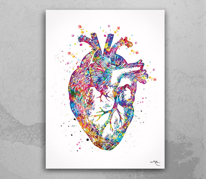 Human Brain Heart Lungs Set of 3 Watercolor Prints School Etsy