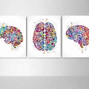 Atlas of the Brain Watercolor Print Set Human Brain Anatomy Medical Art Neurology Doctor Psychology Neuroscience Clinic Office Wall Decor-61