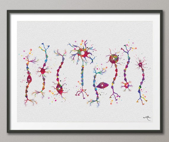 Neuron Types Art Watercolor Print Motor Medical Art Neurologist Cabinet Office