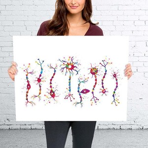 Neuron Types Art Watercolor Print Science Poster Neurology Medical Art ...