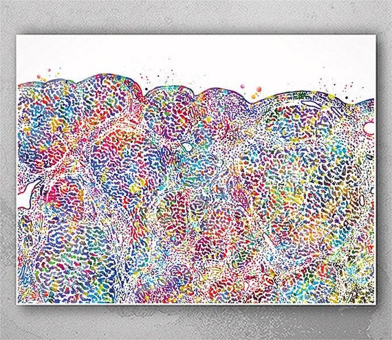 Liver Histology Watercolor Print: Gastroenterology Clinic Decor-2542