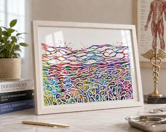 Skin Histology Watercolor Print, Dermatology Science Art-2324