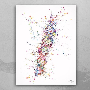 DNA Watercolor Print DNA Helix Molecule Structure Medical Wall Art Science Art Genetic Doctor Office Clinic Laboratory Biology Decor-485