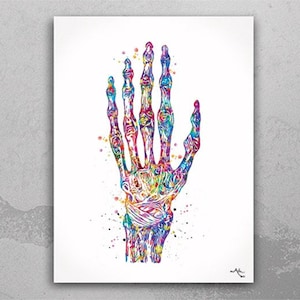 Hand Bones Watercolor Print Skeletal Hand Bones Medical Art Science Art Orthopedic Art Nurse Art Medicine Skeleton Print Clinic Decor-358