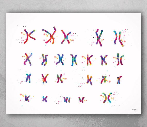 Down Syndrome Karyotype Watercolor Print, Chromosome 21 Art-384