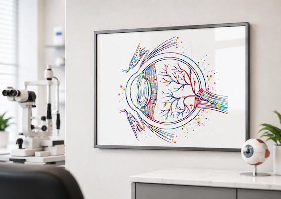 Eye Anatomy Watercolor Print, Optometrist Office Decor-2466