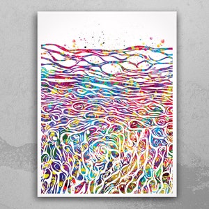 Epidermis Watercolor Print Science Art Skin Histology Dermatology Art Skin Cell Medical Art Dermatologist Gift Clinic Decor Cell Art-1098