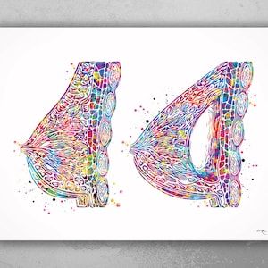 Breast Implant Watercolor Print Breast Augmentation Medical Art Clinic Office Surgery Gift Plastic Surgery Wall Art Decor Wall Hanging-522