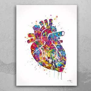 Heart Art Anatomy Watercolor Art Print Lovewins Wedding Gift Wall Decor Gay Pride Art Home Decor Wall Hanging Medical Art Wall Hanging-372