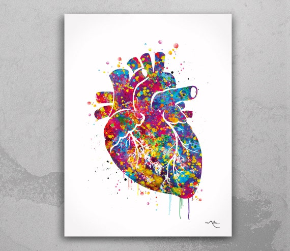 Anatomical Heart Watercolor Art Print, Lovewins Wedding Decor-372