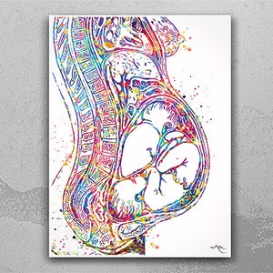 Twin Pregnancy Watercolor Print Womb Pregnancy Anatomy Gynecology Obstetrician Nursing Midwife Baby Fetus Medical Art Clinic Doctor Gift-869