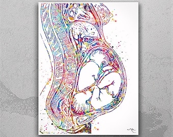 Twin Pregnancy Watercolor Print Womb Pregnancy Anatomy Gynecology Obstetrician Nursing Midwife Baby Fetus Medical Art Clinic Doctor Gift-869