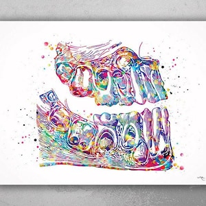 Teeth Anatomy Watercolor Print Tooth Anatomical Art Dental Clinic Decor Art Dentistry Student Dentistry Office Graduaiton Dentist Gift-244