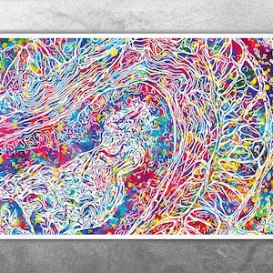 Cross section of the Cerebellum Watercolor Print Medical Art Science Neurology Brain Cell Psychiatry Art Doctor Poster Neuron Synapses-2696