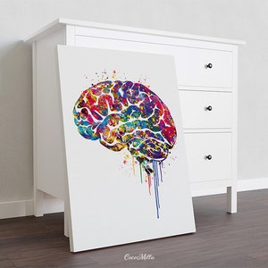 Buy Brain Anatomy Watercolor Print Medical Art Science Art Wall Online ...
