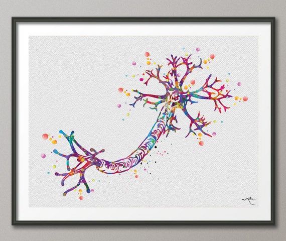 Neuron Types Art Watercolor Print Motor Medical Art Neurologist Cabinet Office