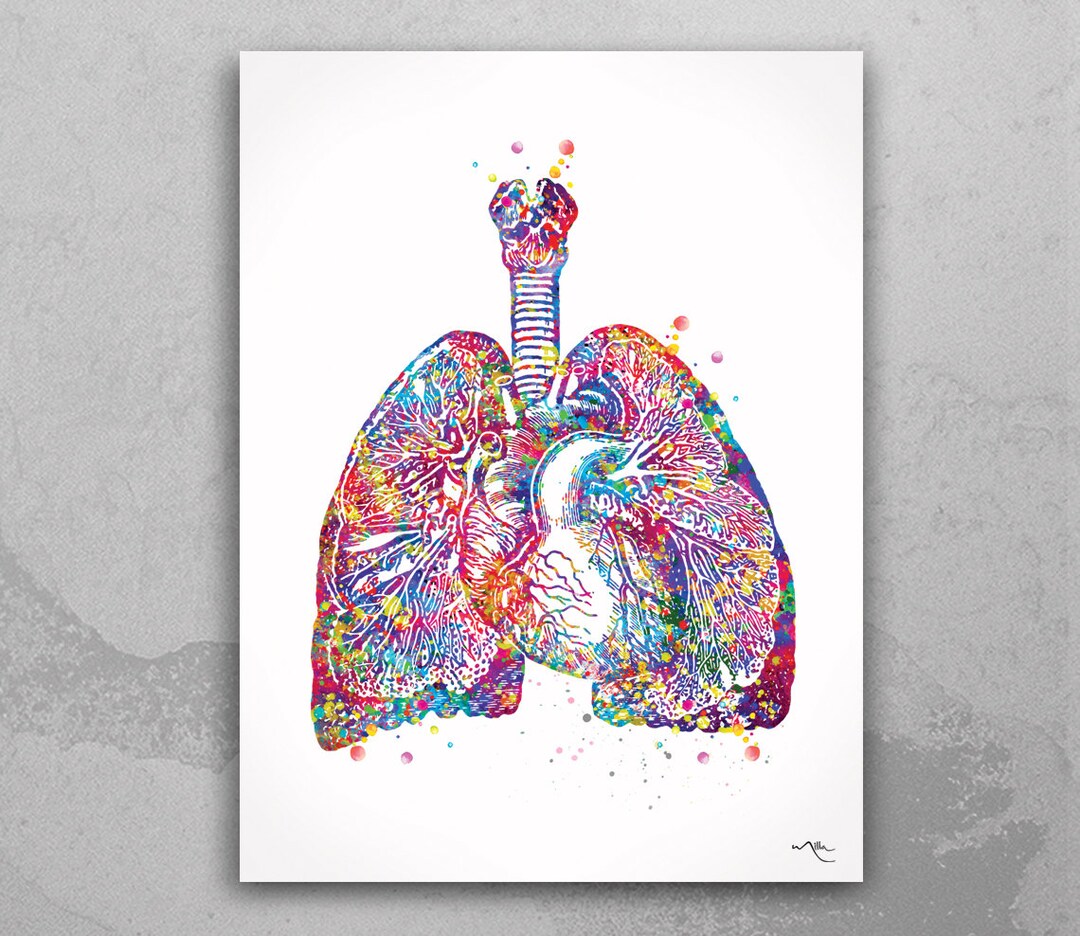 Lungs and Heart Anatomy Watercolor Print Cardiology Decor Medical Art ...