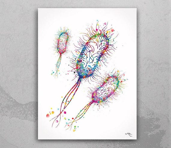 E. Coli Watercolor Print | Medical Microbiology Art-81