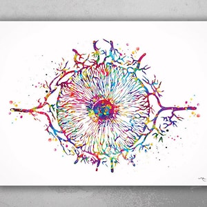 Iris Watercolor Print Human Eye Optometrist Optician Poster Doctor Art Medical Art Ophthalmology Blood Vessels Clinic Wall Art Decor-1179
