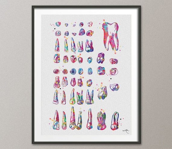 Dental Charts For Sale