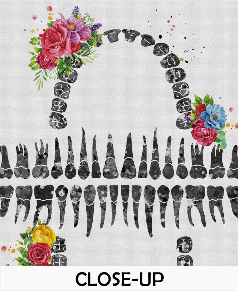 Tooth Chart Floral Watercolor Print Tooth Flowers Anatomical | Etsy