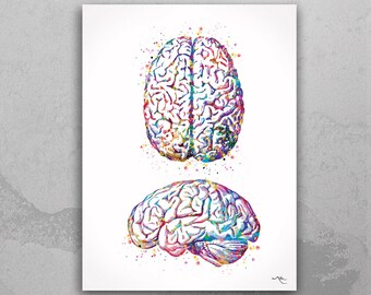 Brain Anatomy Human Brain Watercolor Print Medical Science Art Anatomical Art Neurology Doctor Gift Nurse Science Print Psychological-974