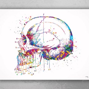 Skull and Tooth Watercolor Print Tooth Anatomy Art Vintage Art Dental Clinic Decor Art Dentistry Student Surgery Dentist Gift Doctor Art-159