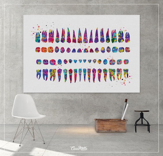 Orthodontic Chart Watercolor Print Tooth Chart Dental Clinic Office Dental Art
