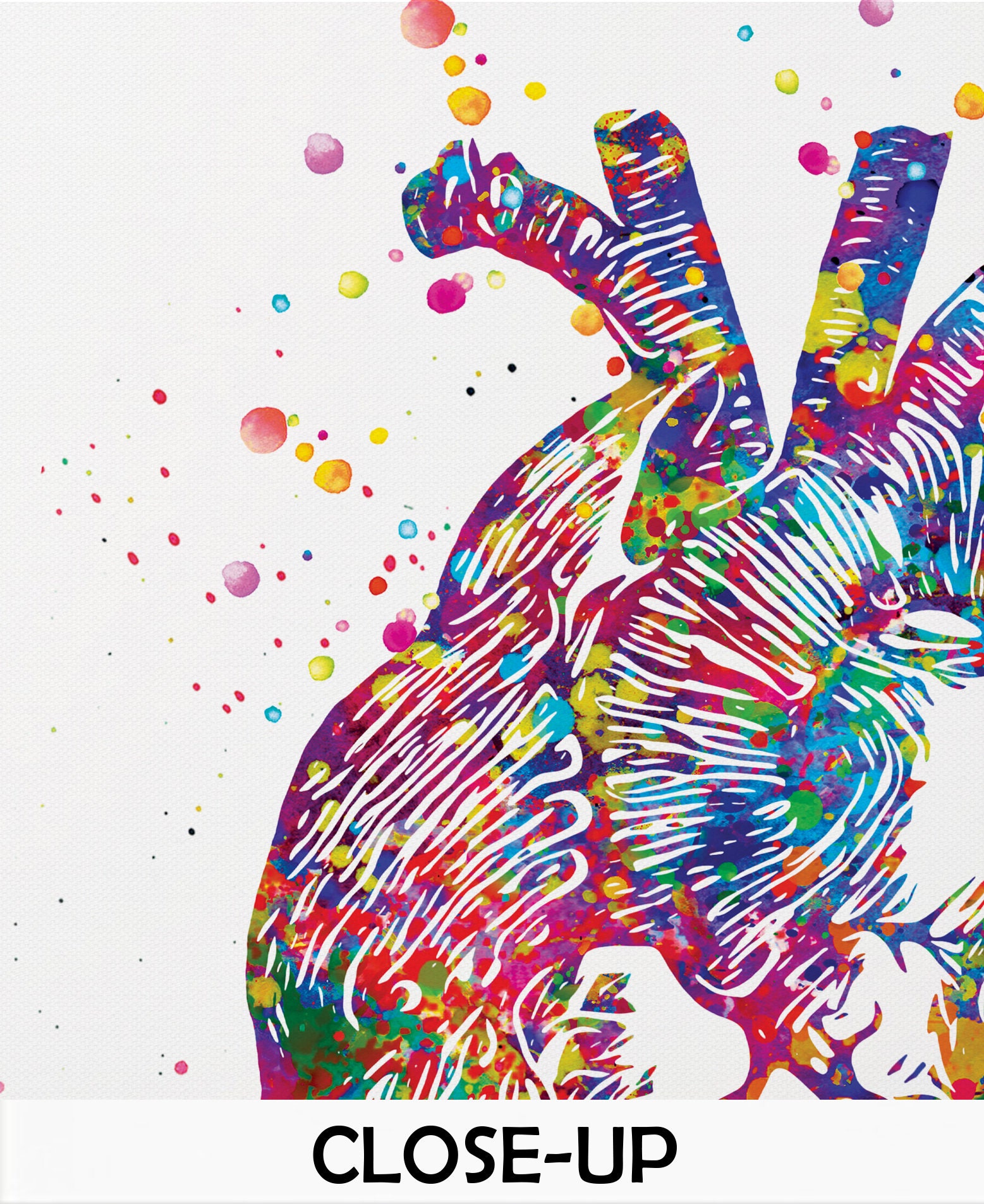 Heart Anatomy Watercolor Print Cardiology Decor Medical Art | Etsy