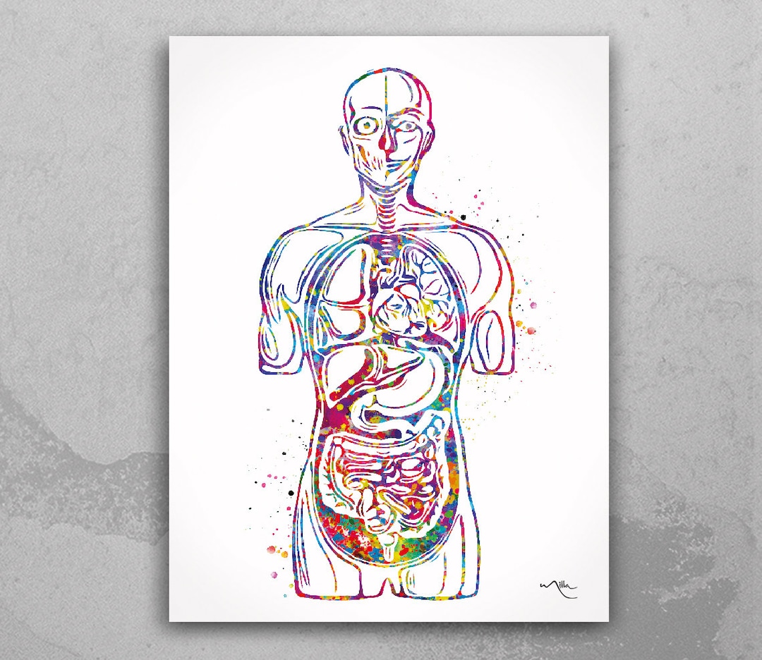 アート・デザイン・音楽 HUMAN ANATOMY FOR ARTISTS Anatomy for Artists: The Complete Guide to Drawing the Human Body