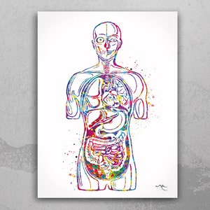 Female Organs Print -  UK