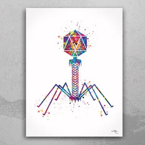 Bacteriophage Watercolor Print Medical Art Biotech Wall Art Bioscience Microbiology Virus Art Biology Bacteria Microscopy Science Decor-195