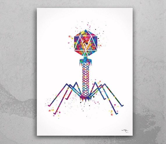 Bacteriophage Watercolor Print, Biotech Microbiology Art-195