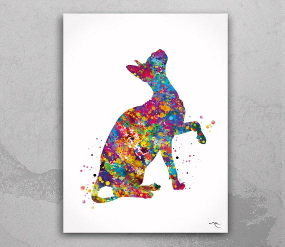 Sphynx Cat Watercolor Print, Hairless Cat Art-294