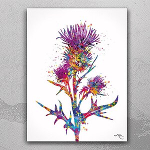 Thistle Watercolor Print Scottish Thistle Canvas Art Nature Flowers Housewarming Gift Nursery Decor Wall Art Wall Decor Wall Hanging-526
