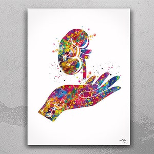 Kidney Transplant Watercolor Print Nephrology Organ Donor Gift Gift Dialysis Nurse Medical Art Transplant Survivor Hemodialysis Gift-2586