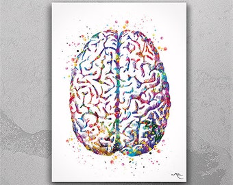 Brain Anatomy Watercolor Print Medical Art Science Art Anatomy Art Neurology Human Brain Doctor Gift Nurse Science Poster Psychological -971