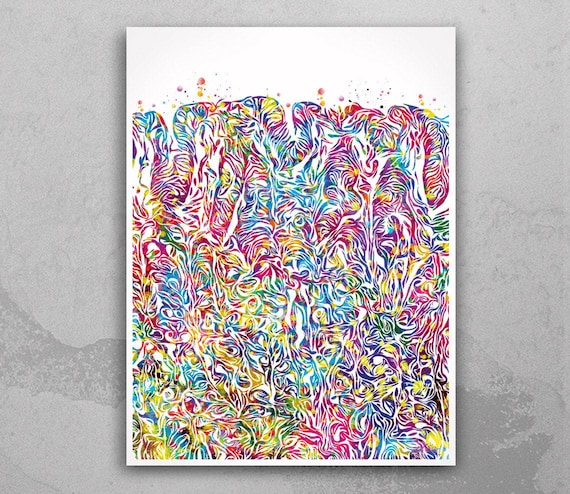 Stomach Structure Watercolor Print Human Organs Gastrointestinal Clinic Decor Histology Art Gastroenterology Gastroenterologist Gift-2292