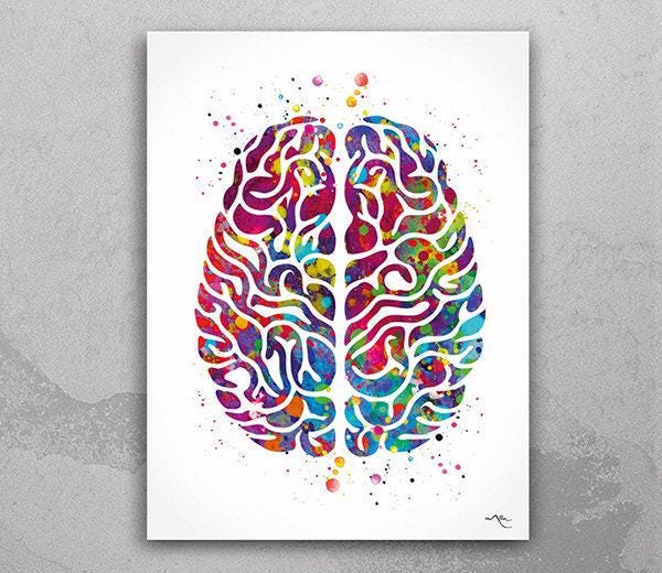 Brain Anatomy Watercolor Print Set | Neurology Art, Medical Decor-61 - Etsy