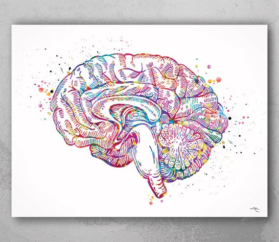 Anatomy Brain Art Floral Anatomy Brain Art Print — Trisha Thompson