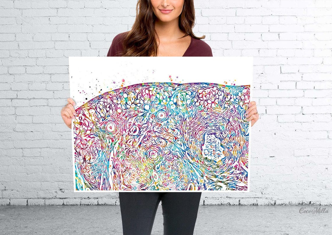 Ovary Histology Watercolor Print, Gynecology Anatomy Art-450 - Etsy UK