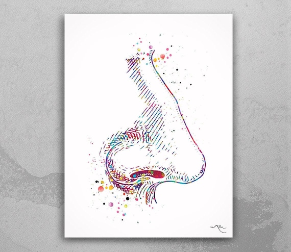 Nose Watercolor Print, ENT Doctor Medical Office Art-82