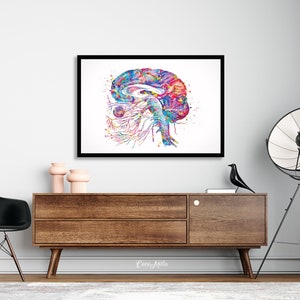 Brain Cranial Nerves Watercolor Print Medical Art Cabinet Neurologist ...