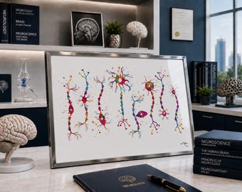 May include: A framed print featuring colorful watercolor illustrations of neurons. The artwork is displayed on a desk with neurology books, a brain model, and a pen. The overall theme is neuroscience and medical study.