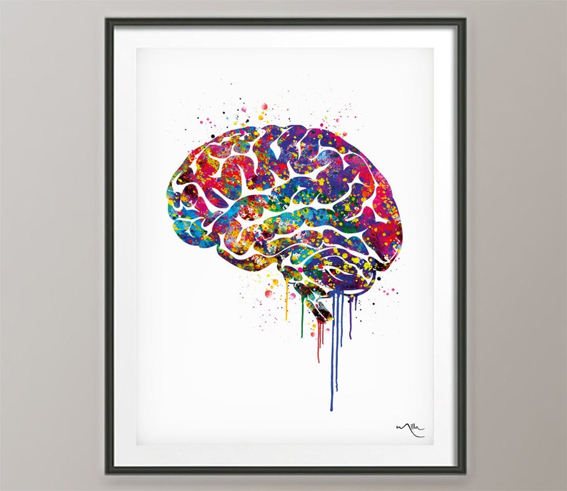 Brain Anatomy Watercolor Print Medical Art Science Art Wall | Etsy