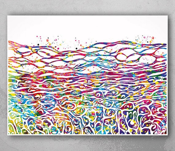 Skin Histology Watercolor Print Science Art Skin Histology