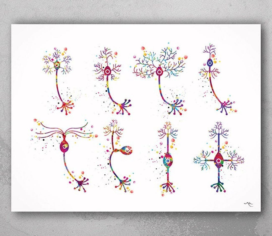 Neuron Watercolor Art Print, Brain Anatomy, Neurology Gift-183 - Etsy