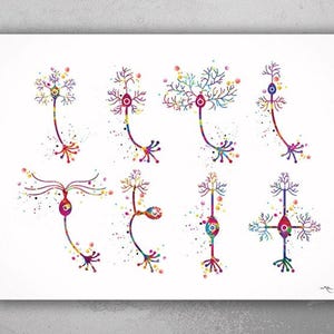 Neurons Art Watercolor Print Motor Pyramidal Purkinje Neuron Cell Neurology Medical Art Brain Anatomy Neuroscience Neurologist Clinic-183